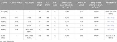 Large T antigen mediated target gene replication improves site-specific recombination efficiency